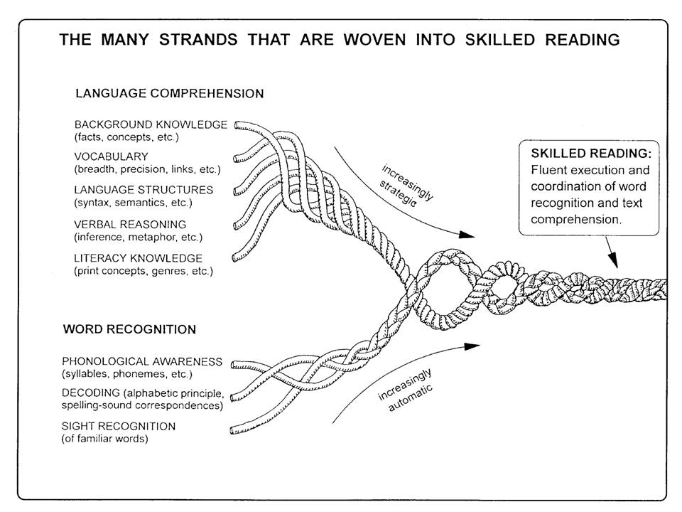 A rope diagram showing how multiple strands representing different reading skills weave together into the rope of skilled reading